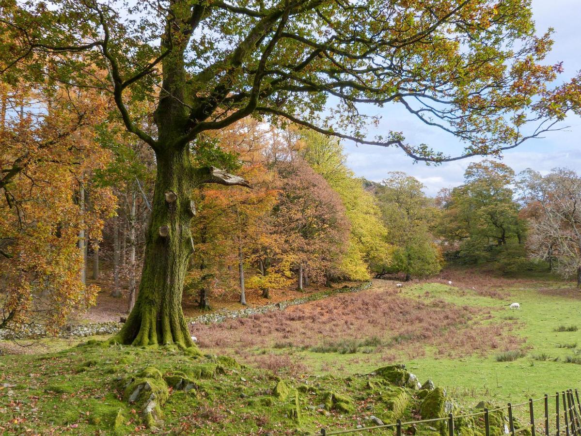 Yew - Woodland Cottages Bowness-on-Windermere Zewnętrze zdjęcie